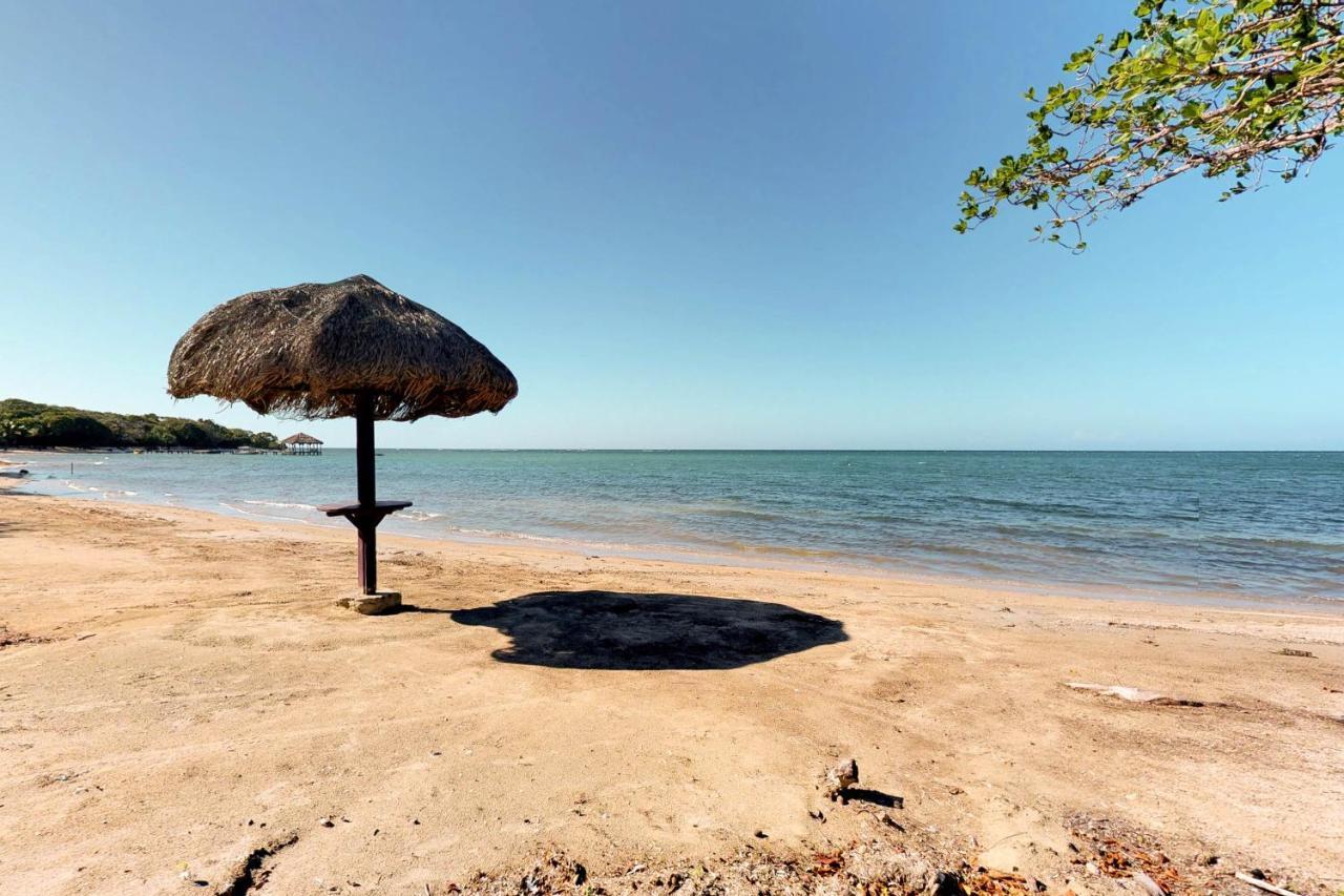 Private Beachfront Paradise Palmetto Bay エクステリア 写真